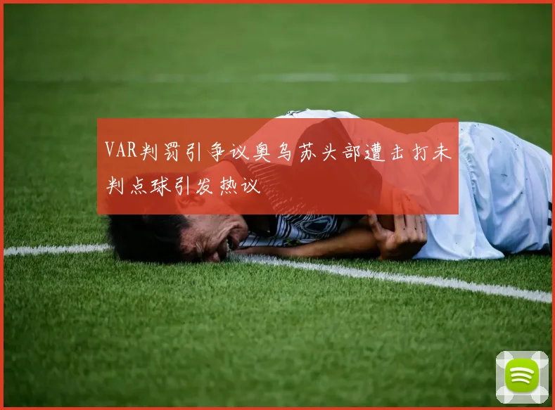 VAR判罚引争议奥乌苏头部遭击打未判点球引发热议