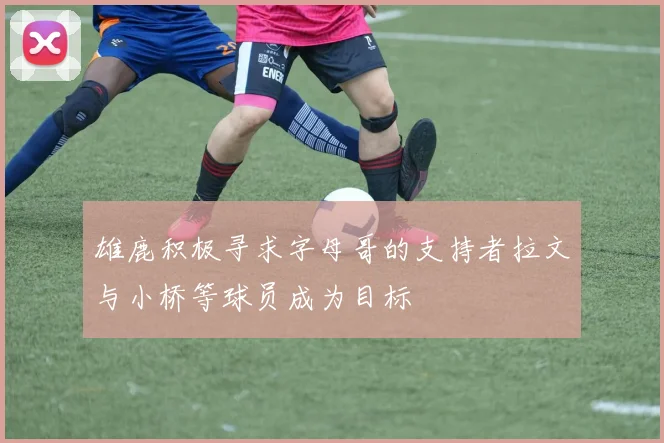 雄鹿积极寻求字母哥的支持者拉文与小桥等球员成为目标