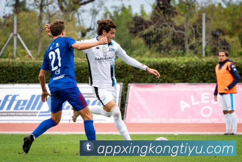 星空体育平台生态图