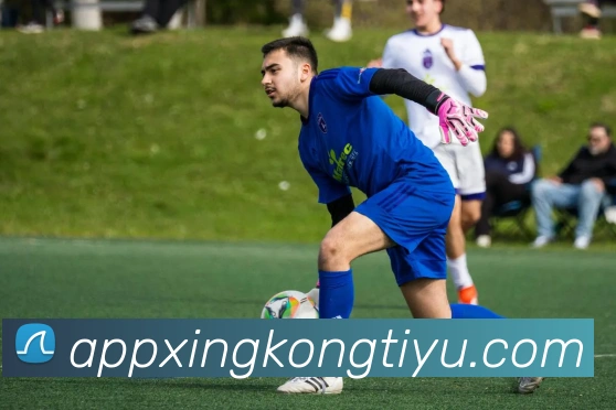 星空体育APP 封面图